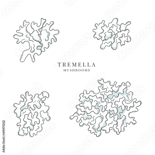 Collection of hand drawn tremella mushrooms