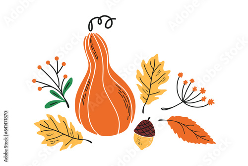 Vector fall print with hand drawn botanical elements.  Autumn illustration with squash, oak leaf, berries, acorn. Cute elements for cards, textile, design.