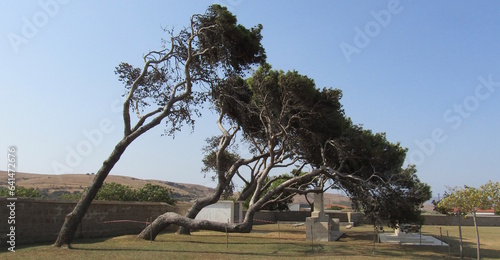 Great War, Military Cemetary, Moudros, Lemnos photo