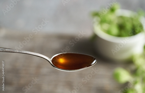 Herbal syrup on a metal spoon, with fresh Plectranthus amboinicus plant in the background photo