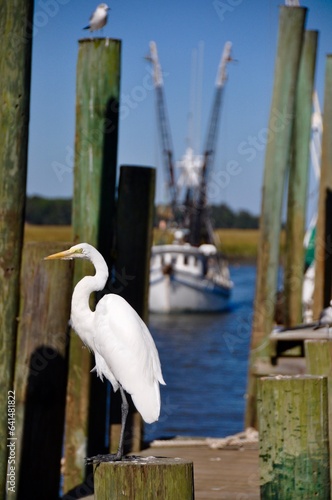 egret dock