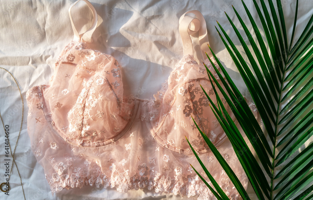 Gentle pink lace bra on the bed. Women tender lingerie, underwear. Top view, close up. Flat lay, beauty blog or social media minimal concept. Present for Valentines, Women’s day	