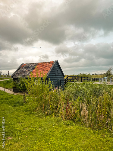 Charming Dutch tile roof shed in the countryside.Tall grass and flowers grow in front. A bird flies overhead. Kinderdijk, Netherlands, UNESCO World Heritage site.
