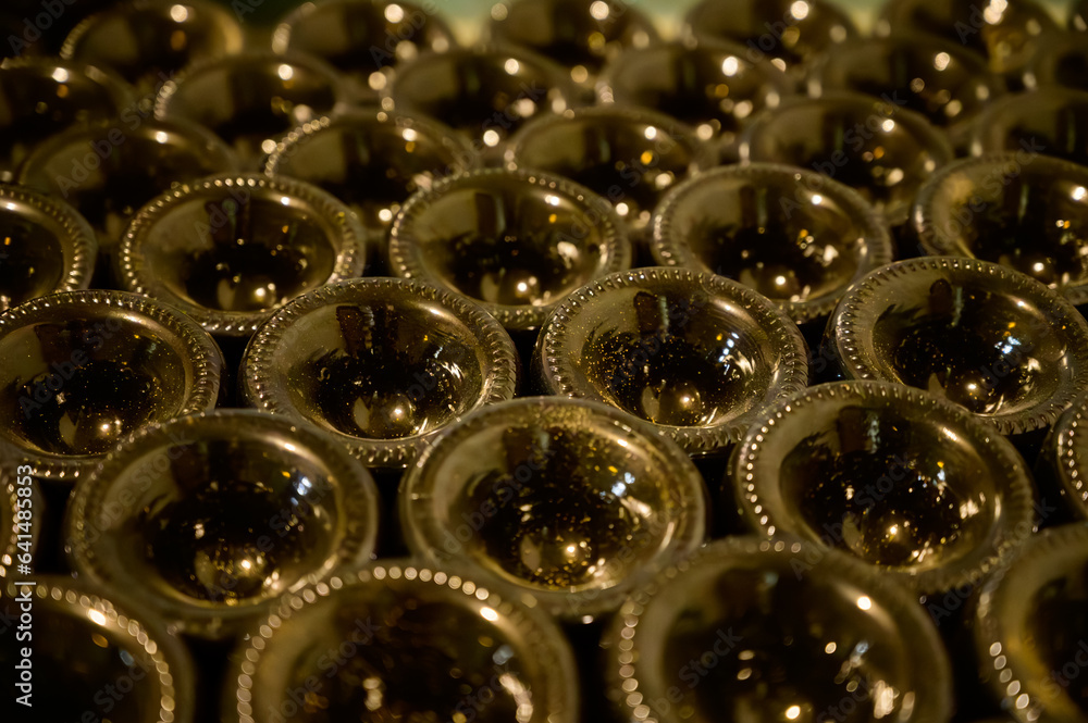 Many bottles of champagne sparkling wine. Visit of undergrounds caves, traditional producing of champagne wine in Cote des Bar, Aube, south of Champagne, France Many bottles of champagne sparkling wine. Visit of undergrounds caves, traditional producing of champagne wine in Cote des Bar, Aube, south of Champagne, France