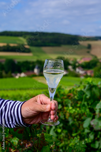 Drinking of sparkling white wine with bubbles champagne on green hilly vineyards in small village Urville in Cote des Bar  Champagne region  France