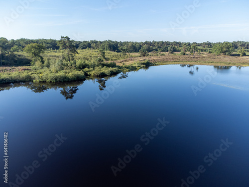 Aerial view on blossom of heather, forest and lakes. Sunny morning in Nature protected park area De Malpie near Eindhoven, North Brabant, Netherlands. Nature landscapes in Europe.