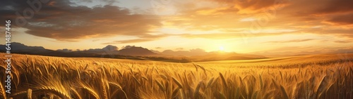 a field of wheat with mountains in the background