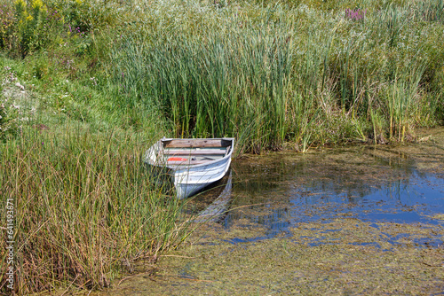 An aluminum boat sitting in the water at the rivers edge surrounded by bullrushes