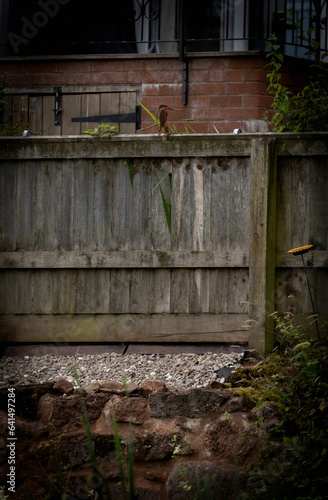old wooden fence. 