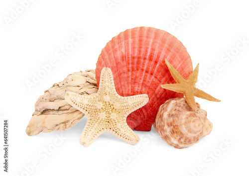 Beautiful sea stars (starfishes), stone and seashells isolated on white