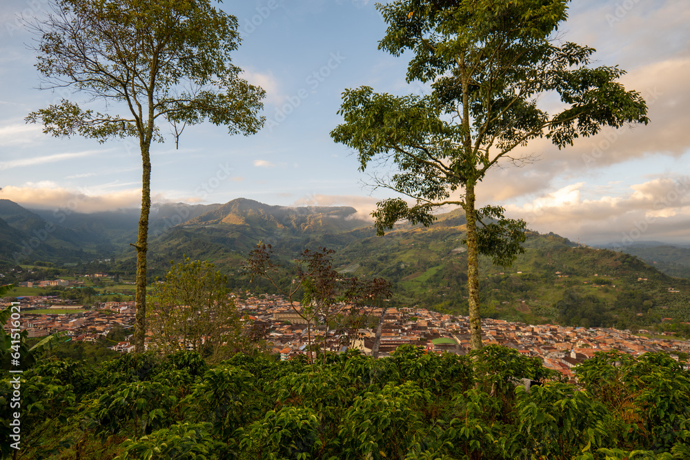 Panoramic View Between Two Trees of the Beautiful Mountain Range Surrounding Jardin, Antioquia, Colombia, with Hills, Farmlands and Forests at Dawn