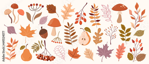 Autumn decorative vector set of plants