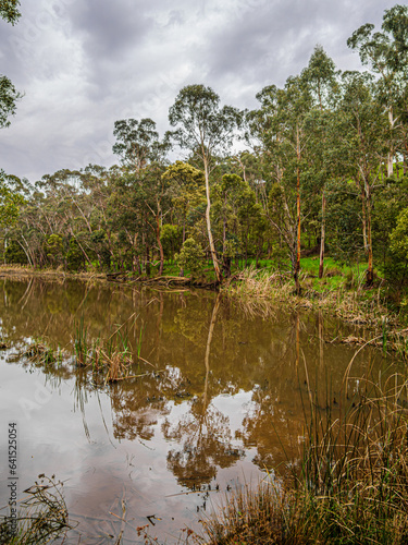 Monbulk Creek Basin vert photo