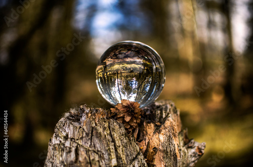 Nature Ball