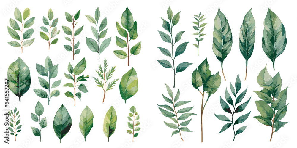Watercolor Green Leaves Clipart For Graphic Resources Stock Vector Watercolor Green Leaves Clipart For Graphic Resources Stock Vector