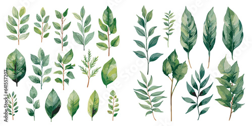 watercolor green leaves clipart for graphic resources