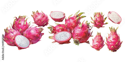 watercolor dragon fruit clipart for graphic resources