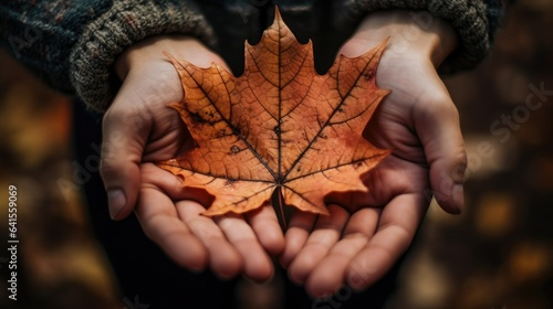 hands holding autumn yellow leaves photo