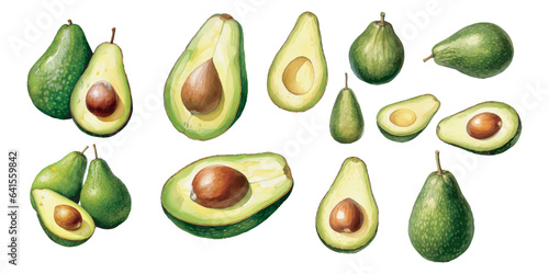 watercolor avocado clipart for graphic resources