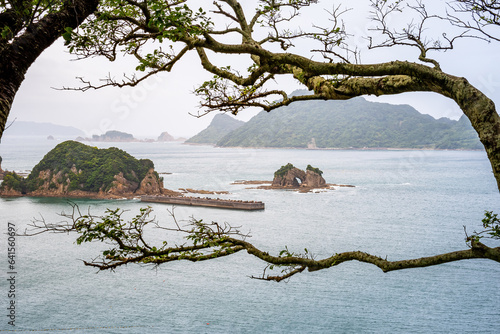 Sea in between the trees