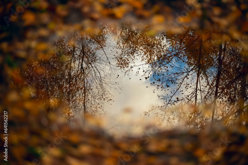 Abstract photo of autumn mood. Reflection of the autumn forest in a puddle. Selective focus.
