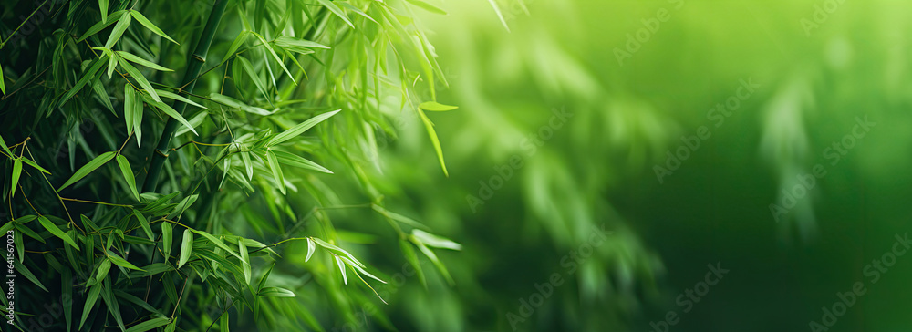 Green background with bamboo leaves, copy space Green background with bamboo leaves, copy space