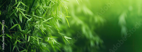 Green background with bamboo leaves, copy space
