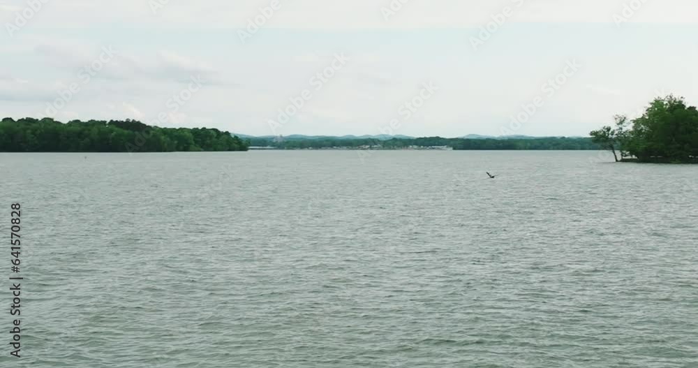 Wildlife Scene And Nature Surroundings Of Long Hunter State Park In Tennessee, USA. Aerial Drone Shot Wildlife Scene And Nature Surroundings Of Long Hunter State Park In Tennessee, USA. Aerial Drone Shot