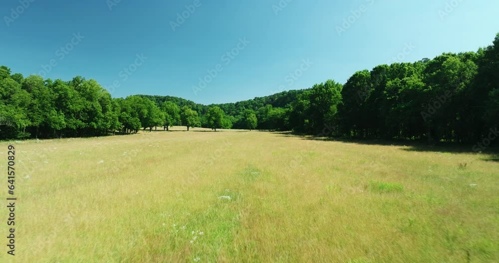 Flying Over Golden Fields And Trees Near War Eagle Mill In Benton County, Arkansas, USA. Aerial Drone Shot Flying Over Golden Fields And Trees Near War Eagle Mill In Benton County, Arkansas, USA. Aerial Drone Shot