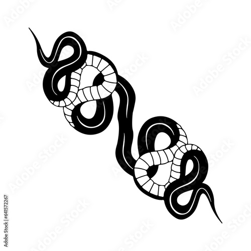 vector illustration of two black snakes concept