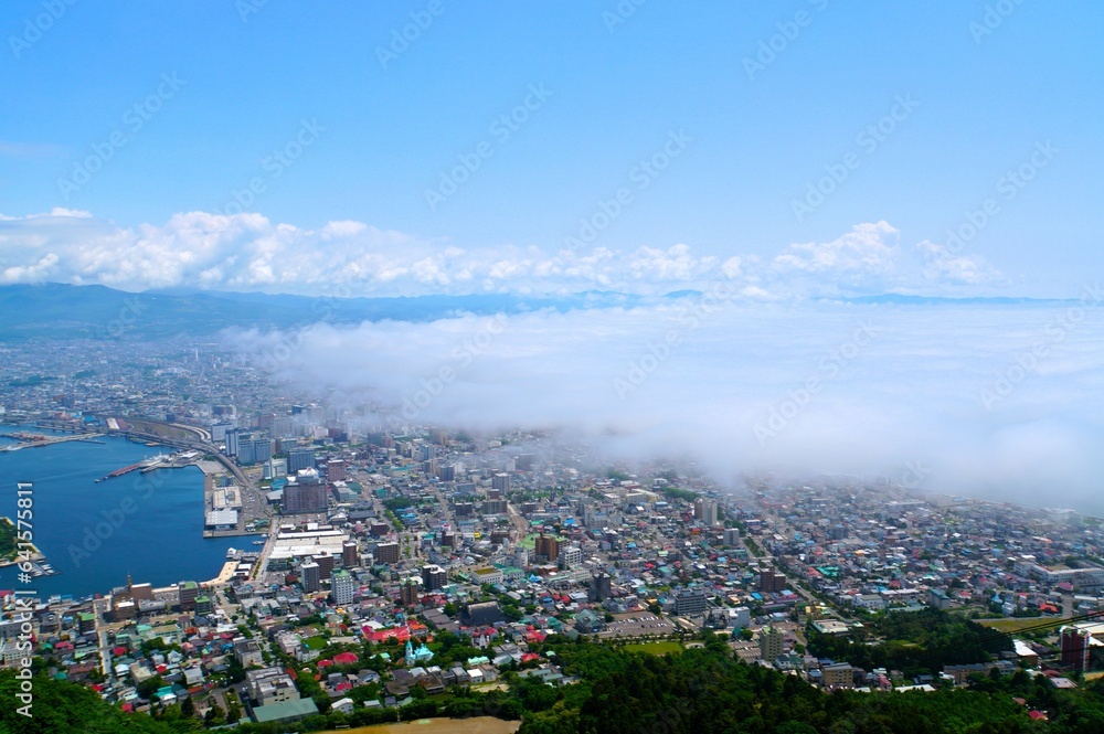 View from Observatory of Mount Hakodate