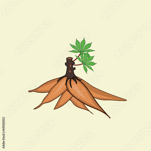 cassava illustration vector eps 10