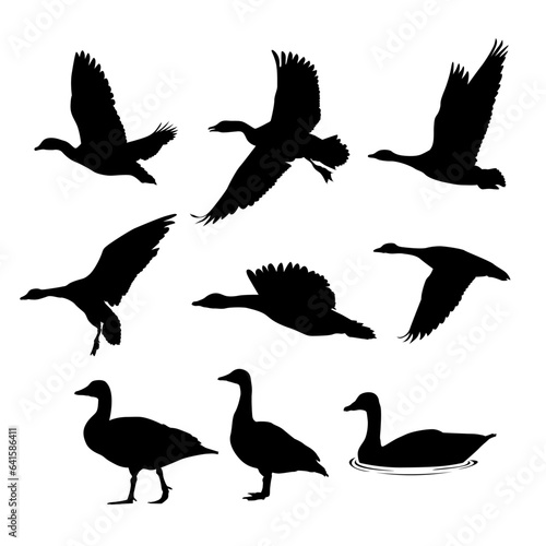 various flying goose silhouette illustration
