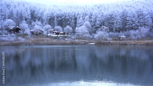 日本の長野県、聖高原の池に映る霧氷の雪景色