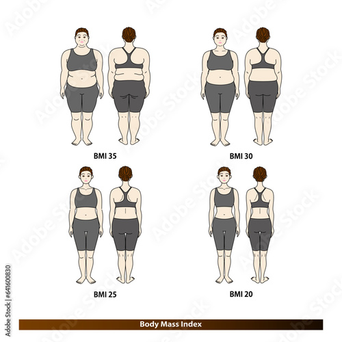 BMI ボディマスインデックス 中高年女性の体形変化 ダイエットのビフォーアフター イラスト