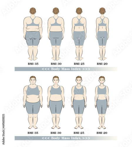 BMI ボディマスインデックス 中高年女性の体形変化 ダイエットのビフォーアフター イラスト