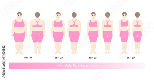 BMI ボディマスインデックス 中高年女性の体形変化 ダイエットのビフォーアフター イラスト