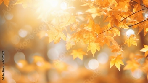 Beautiful orange and golden autumn leaves. Natural autumn background © Cherdchai