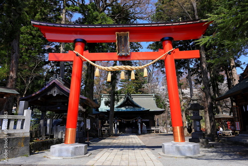 Tableau sur toile cherry blossom (sakura ) in spring FujisanSimomiya OmuroSengen Jinja, in Fujiyos