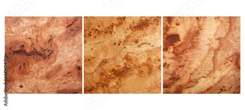 hard burl maple wood texture grain illustration timber tree, brown natural, working background hard burl maple wood texture grain