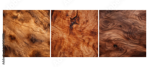 timber burl oak wood texture grain illustration tree brown, natural working, background lumber timber burl oak wood texture grain