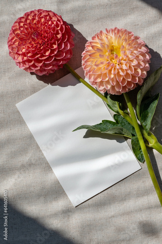 Blank paper postcard mock up, red and pink dahlia flowers on neutral beige linen background with natural sunlight shadows. Congratulation postcard or wedding invitation template