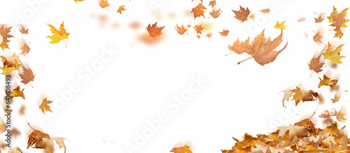 Obraz na plátně fallen leaves background dry empty sky