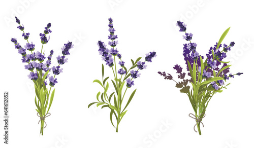 Fototapeta Naklejka Na Ścianę i Meble -  Lavender Floral Compositions