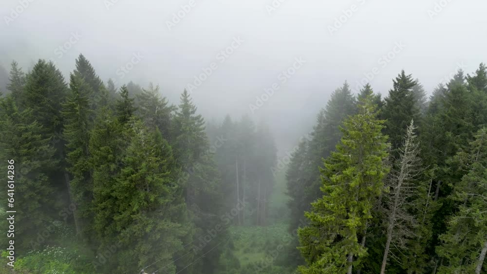 Aerial view of the forest in the fog. Rainy weather in mountains. Misty fog blowing over forest. Giresun kumbet yaylası Aerial view of the forest in the fog. Rainy weather in mountains. Misty fog blowing over forest. Giresun kumbet yaylası