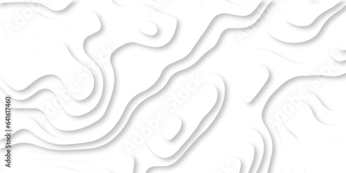 Abstract white paper cut background with lines. Background of the topographic map. White wave paper curved reliefs abstract background. Realistic papercut decoration textured with wavy layers.