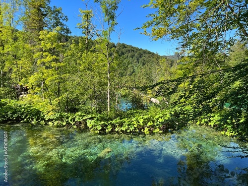 Landscape and environment of Plitvice Lakes National Park  UNESCO  - Plitvica  Croatia or Slikoviti krajobrazi i prekrasni motivi iz nacionalnog parka Plitvi  ka jezera - Plitvice  Hrvatska