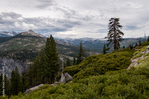 Forest Landscape in Yosemite National Park © Gianandrea Villa