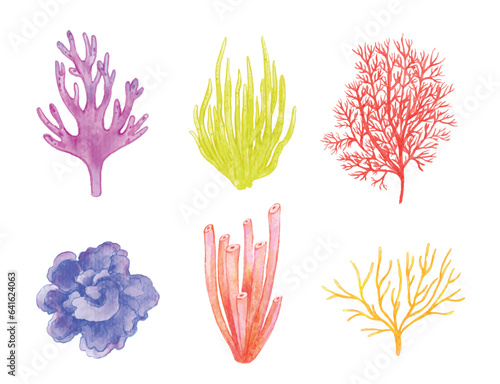 Fototapeta Naklejka Na Ścianę i Meble -  Set of colorful coral watercolor illustration