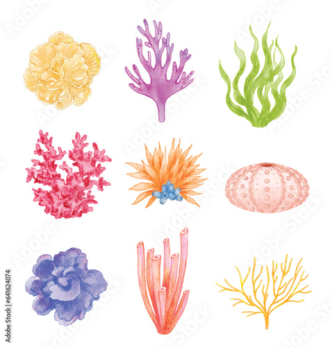 Set of colorful coral watercolor illustration
